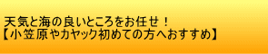 天気と海の良いところをお任せ！ 【小笠原やカヤック初めての方へおすすめ】